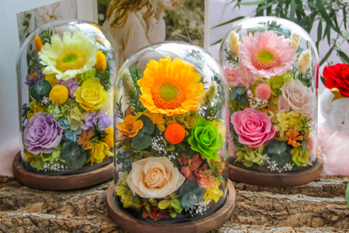 Preserved Rose Glass Dome Series