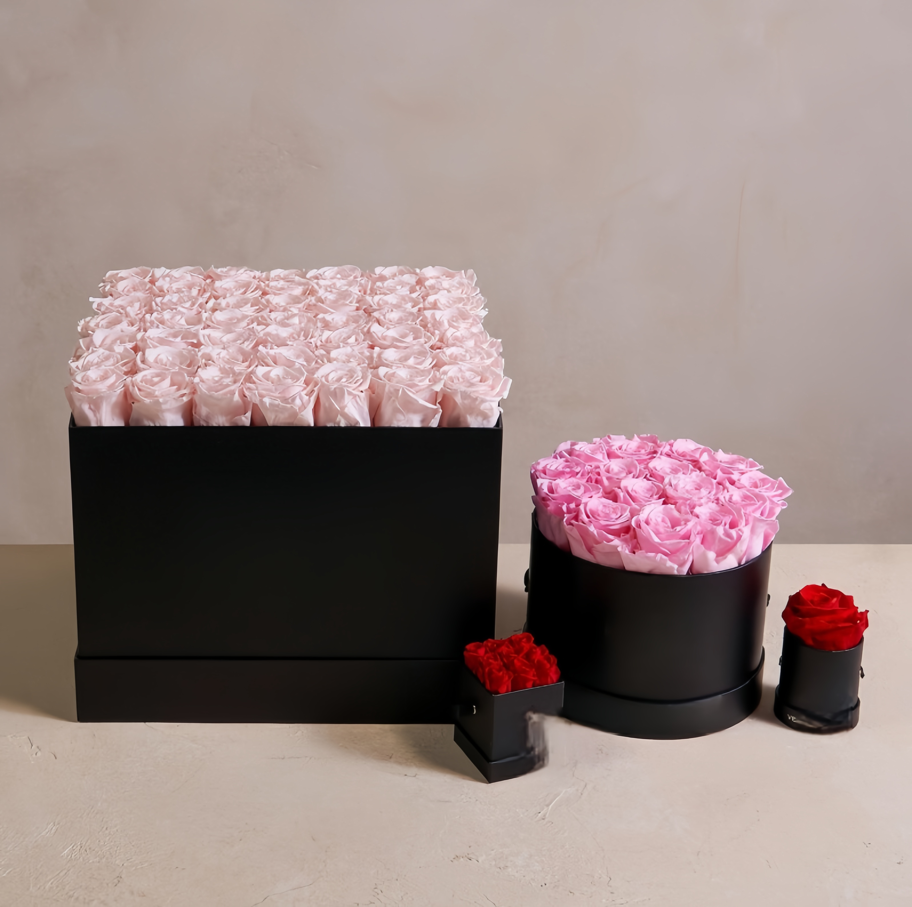 Preserved Rose Box Series