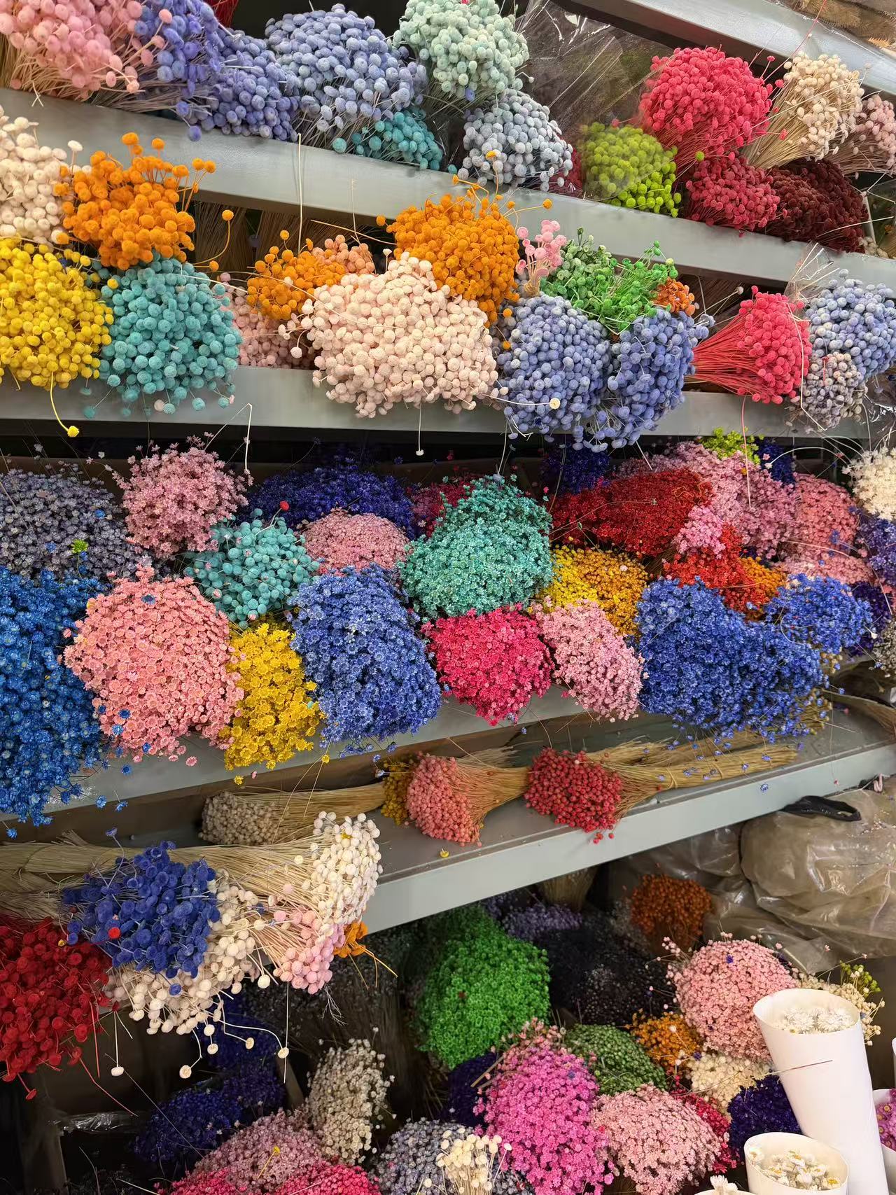 Everlasting Flower Material Series